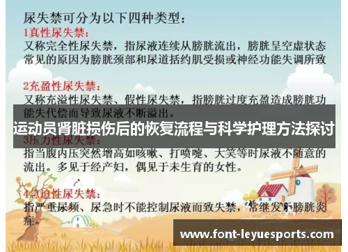 运动员肾脏损伤后的恢复流程与科学护理方法探讨