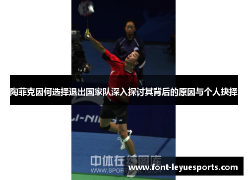 陶菲克因何选择退出国家队深入探讨其背后的原因与个人抉择