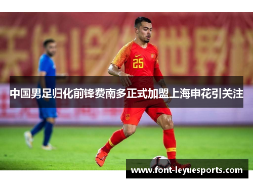中国男足归化前锋费南多正式加盟上海申花引关注